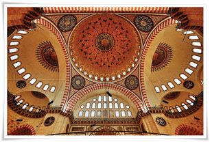 Eşsiz Tavanlar / Dr. Mehmet Gülçubuk