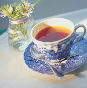 Sağlıklı Yaşamın Sırları / Ayşegül Demirkan