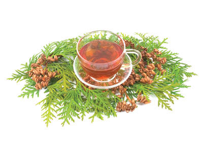 İhtiyacımız Olan Vitaminler / Prof. Dr. Erdem Yeşilada