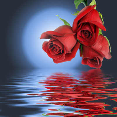 Sevgi Nedir? / Prof. Dr. Hayati Hökelekli