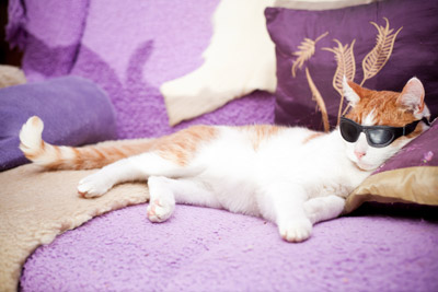 Yoksa Tembellik Bir Hastalık mı? / Uzm. Psk. Dnş. Aslı Taşkın Kartol