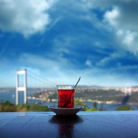 Çay Konusunda Söyleşi / Dr. Mustafa Duman
