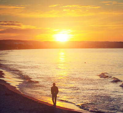 Güneşi Yakalamak / Prof. Dr. Sefa Saygılı