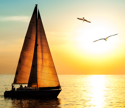 Yaralı Kuşlar / Dr. Metin Serimer