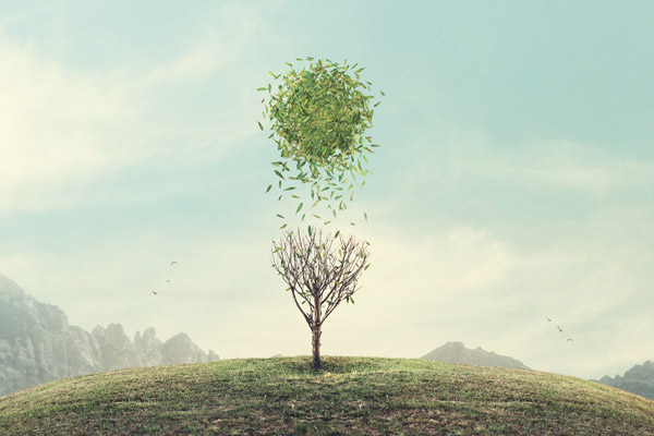 Vazgeçtiklerimiz... Vazgeçilmezlerimiz...(3) 