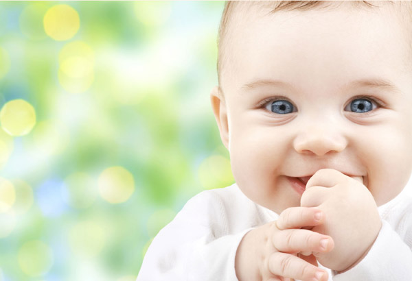 Ehil Annelik / Dr. Gülşen Özgen