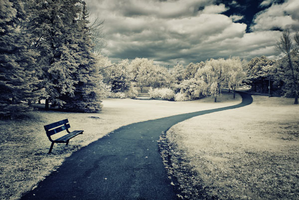 Vazgeçtiklerimiz... Vazgeçilmezlerimiz...(8) 