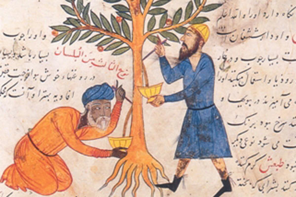 Geleneksel ve Modern Tıbbın Ayrıştığı Noktalar / Muhammet Uysal