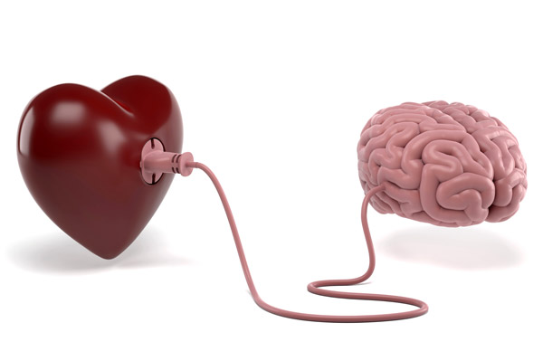 Düşünme ve Akletme Nerede Gerçekleşir? / Süleyman Erdem