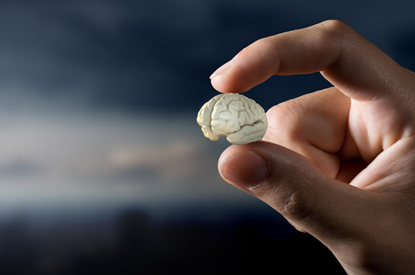 Kutsal Kitapları Yakmak!.. 