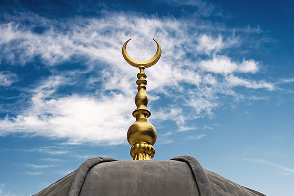 Sarsılmaz Sadakat ve Kurban / Nilüfer Elif