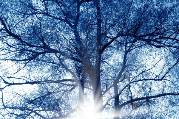 Gözlük, Saat, Altın 8 